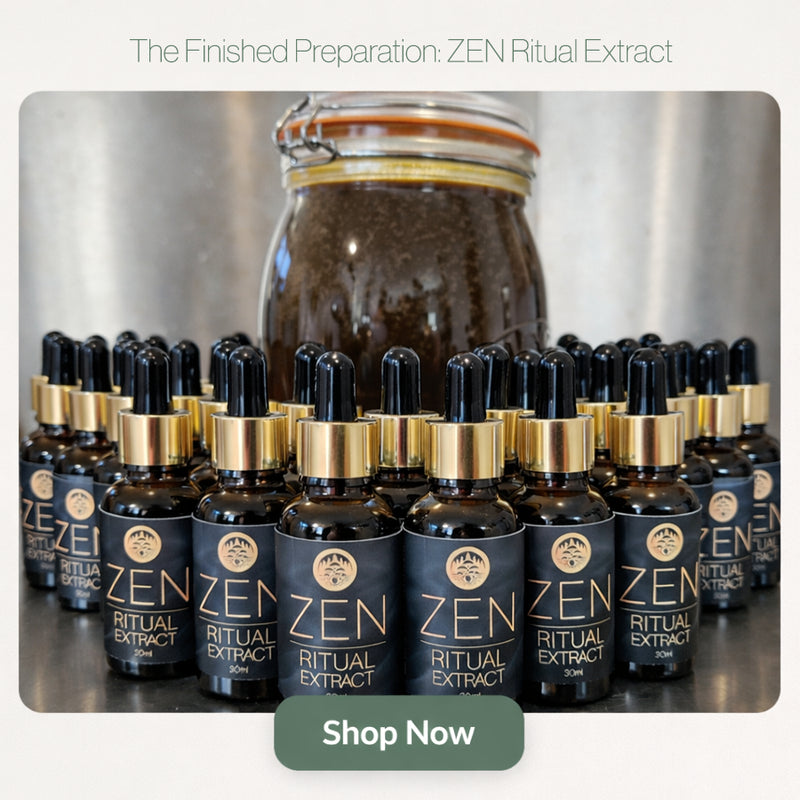 Finished bottles of ZEN Ritual Extract, an alcohol-free dual-extraction of Reishi mushrooms and Hawthorn extract stabilized in organic glycerine.